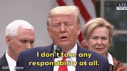 Donald Trump Speaking Into Microphone Saying I Don't Take Any Responsibility At All GIF
