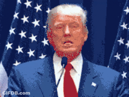 Donald Trump Speaking Into Microphone With American Flag GIF