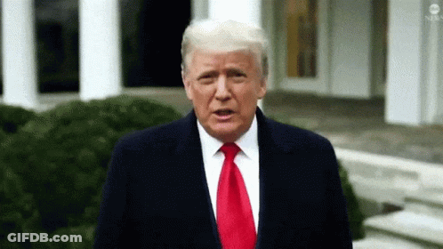 Donald Trump Standing In Front Of White House GIF