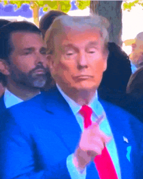Donald Trump Thumbs Up GIF