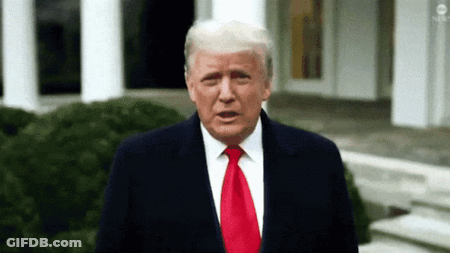 Donald Trump We Love You GIF