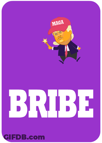 Donald Trump Wearing MAGA Hat Saying Trump Dividend GIF