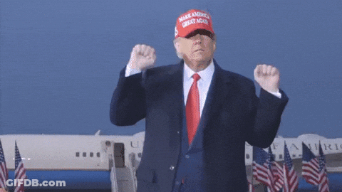 Donald Trump Wearing Make America Great Again Hat In Front Of Airplane GIF