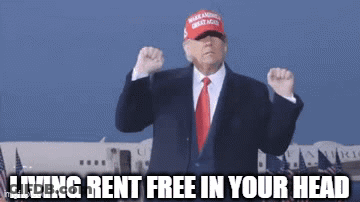 Donald Trump Wearing Make America Great Again Hat GIF