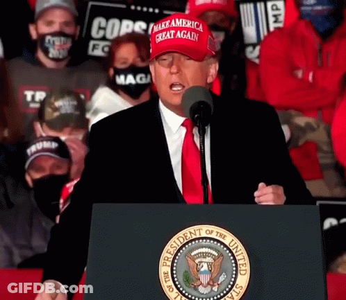 Donald Trump Wearing Red MAGA Hat At Podium GIF