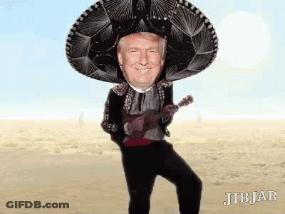Donald Trump Wearing Sombrero Playing Ukulele GIF