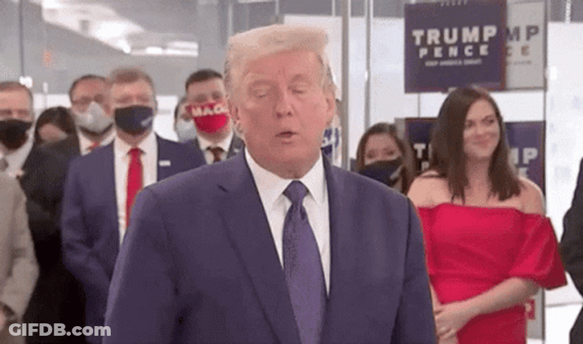 Donald Trump Winning Is Easy GIF