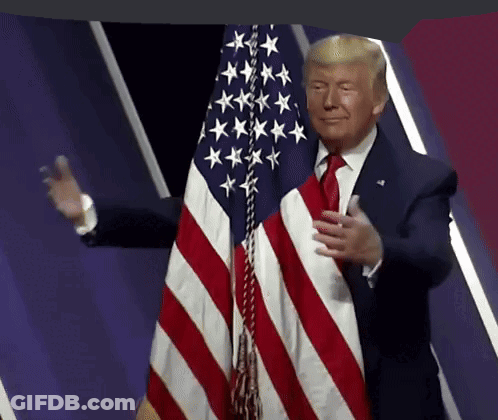 Donald Trump With American Flag GIF
