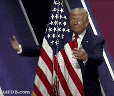 Donald Trump With American Flag GIF