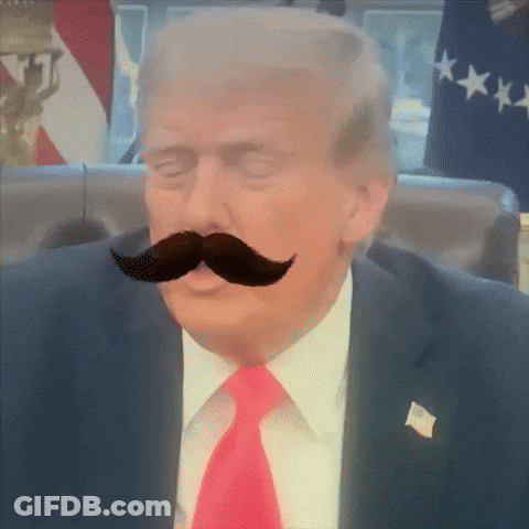 Donald Trump With Fake Mustache GIF