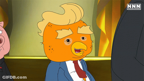 Donald Trump With NN Logo GIF