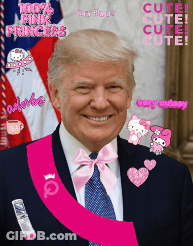 Donald Trump With Pink Sash GIF