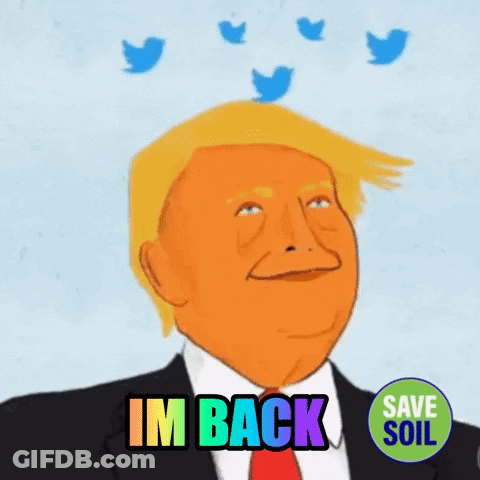 Donald Trump With Twitter Birds Saying Im Back GIF