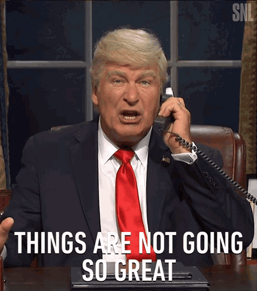 Donald Trump Wrong Things Are Not Going Great GIF