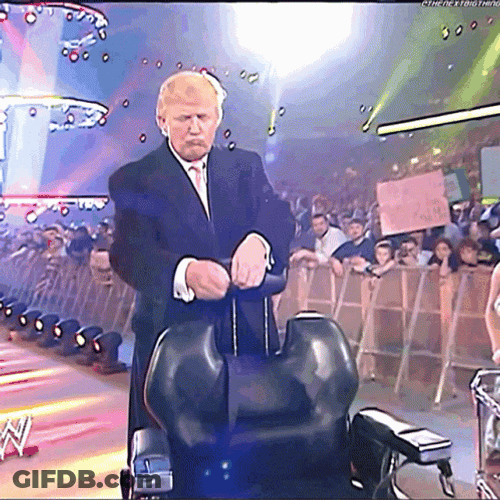 Donald Trump Wwe GIF