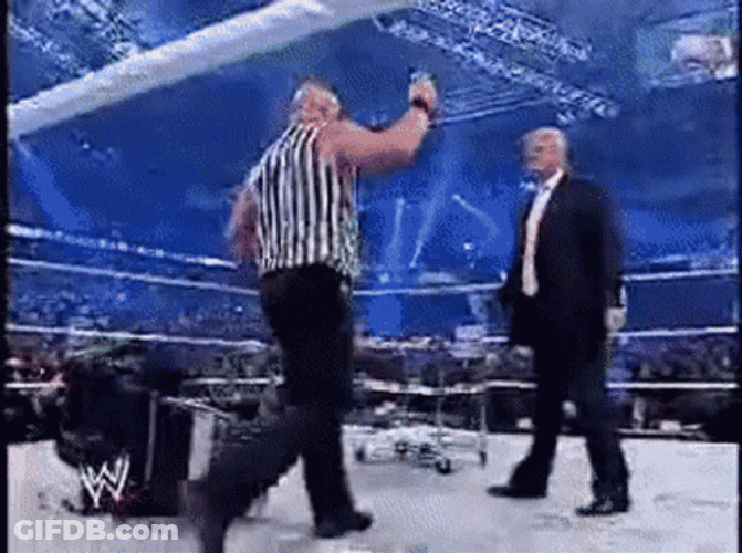 Donald Trump Wwe And Stone Cold GIF