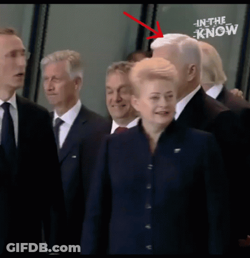 Donald Trump Wwe Excuse Me GIF