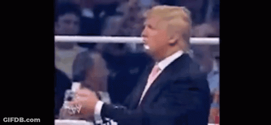 Donald Trump Wwe Stunner By Steve Austin GIF
