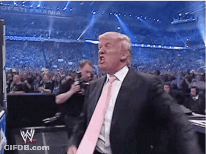 Donald Trump WWE Wrestler GIF
