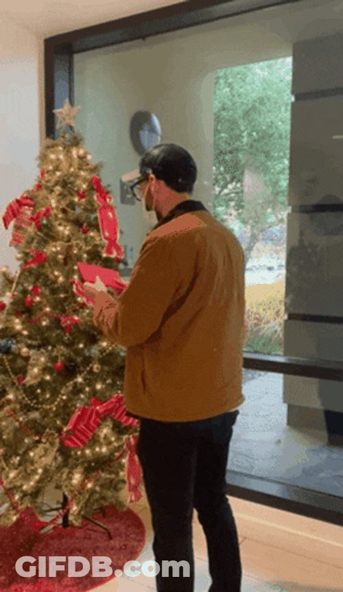Donation For Christmas GIF