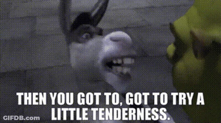 Donkey And Shrek Is Love GIF