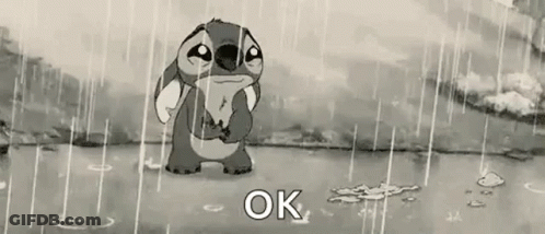 Donkey Ay Wey GIF