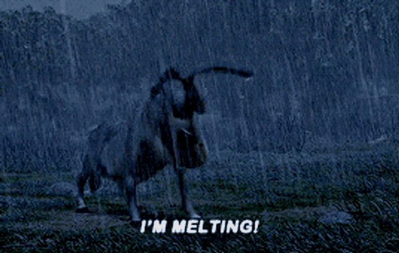Donkey Crying In Rain GIF