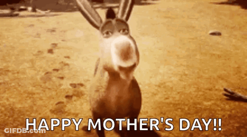 Donkey From Shrek Happy Mothers Day GIF