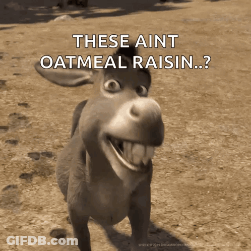 Donkey From Shrek Says These Ain't Oatmeal Raisin GIF