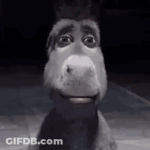 Donkey From Shrek Smiling In Dark GIF