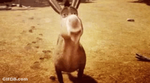 Donkey From Shrek Standing On Dirt Field GIF