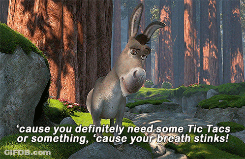 Donkey In Forest Saying Breath Stinks GIF