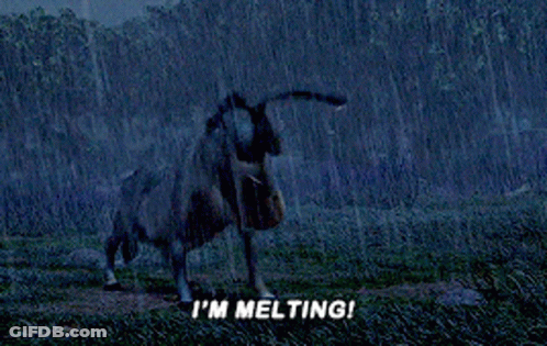Donkey In Rain Saying I'm Melting GIF