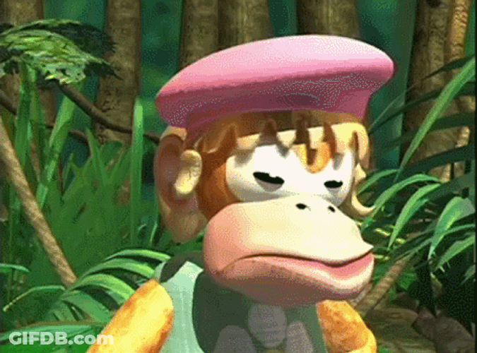 Donkey Kong Country Dixie Kong GIF