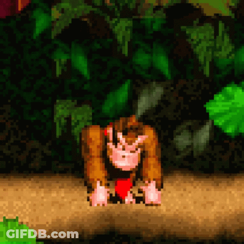 Donkey Kong DKC3 Disappointed SMH GIF