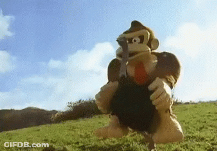 Donkey Kong Funny Ostrich Ride GIF