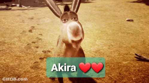 Donkey Named Akira GIF