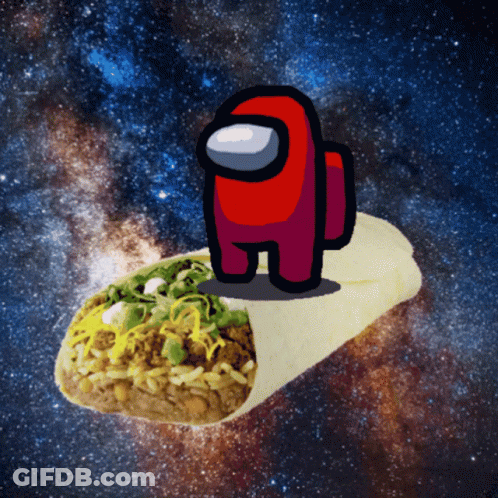 Donkey Playing Musical Instrument Saying Mi Burrito GIF
