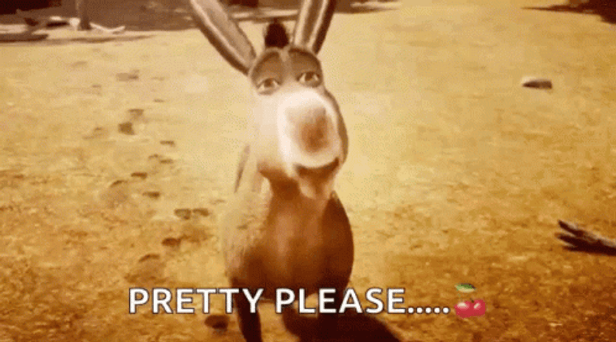 Donkey Pretty Please GIF