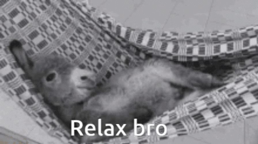 Donkey Relax Bro GIF