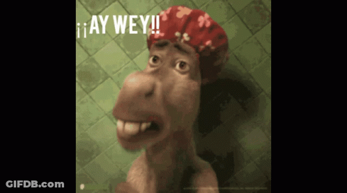 Donkey Saying Ay Wey GIF