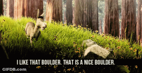 Donkey Saying I Like That Boulder Nice Boulder GIF