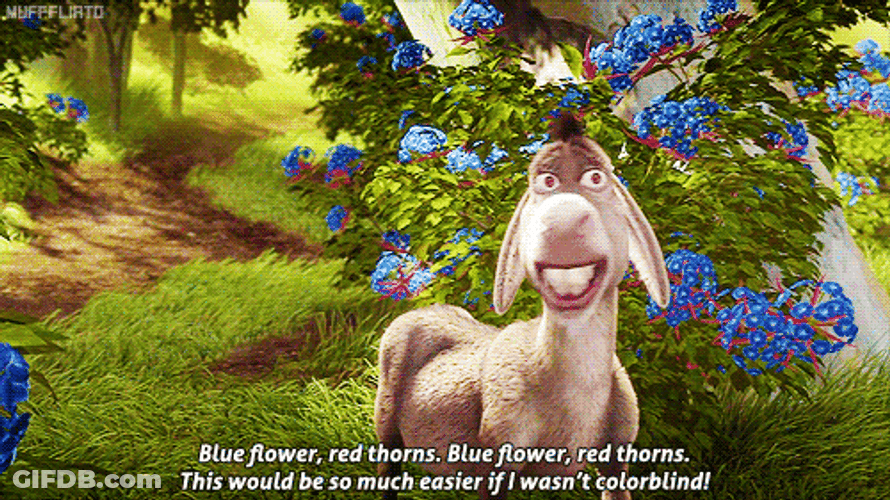 Donkey Shrek Cartoon Movie GIF