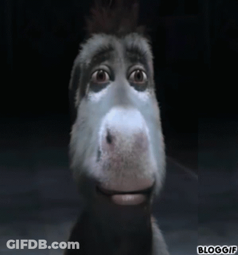 Donkey Shrek Donkey GIF