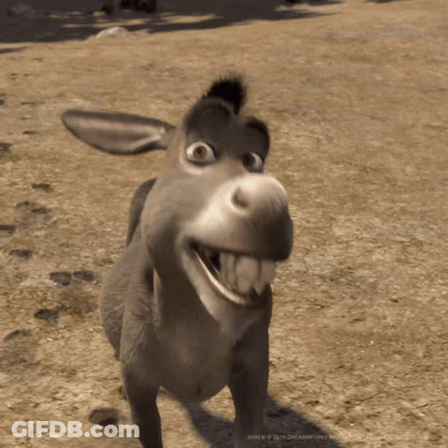 Donkey Smiling From Shrek GIF