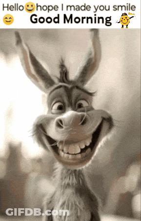 Donkey Smiling Hello Hope I Made You Smile Good Morning GIF