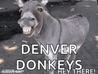 Donkey Smiling On Dirt Road GIF
