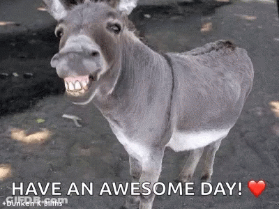 Donkey Standing In Dirt Have An Awesome Day GIF