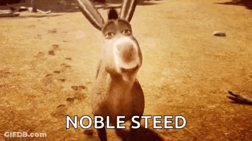 Donkey Standing In Dirt Noble Steed GIF