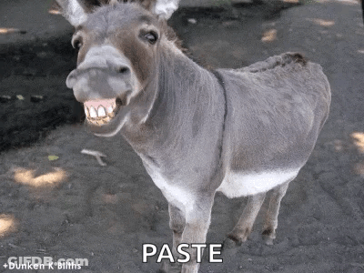 Donkey Standing In Dirt Saying Paste GIF